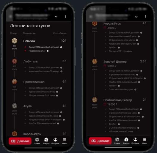 Программа лояльности